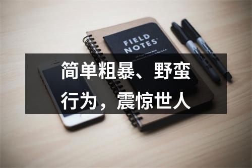 简单粗暴、野蛮行为，震惊世人