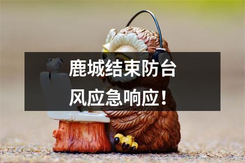 鹿城结束防台风应急响应！