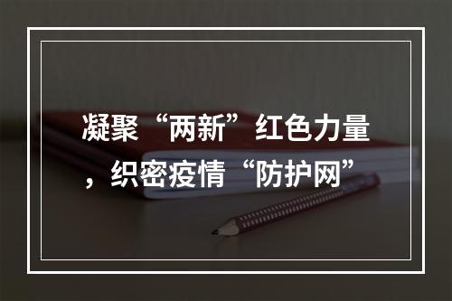 凝聚“两新”红色力量，织密疫情“防护网”