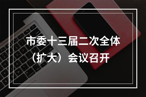 市委十三届二次全体（扩大）会议召开