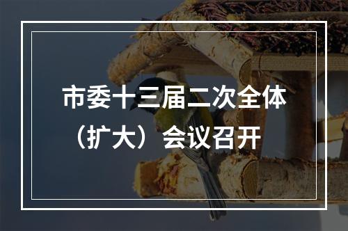 市委十三届二次全体（扩大）会议召开