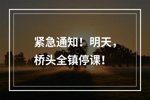 紧急通知！明天，桥头全镇停课！