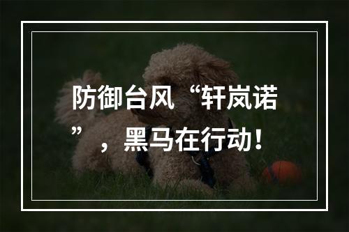 防御台风“轩岚诺”，黑马在行动！