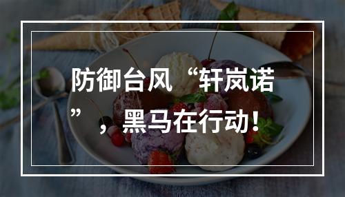 防御台风“轩岚诺”，黑马在行动！