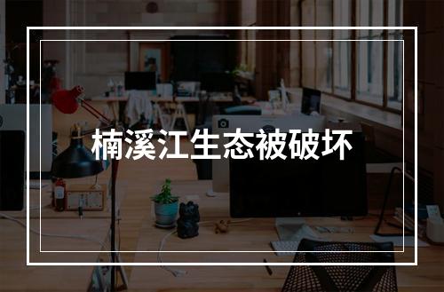 楠溪江生态被破坏