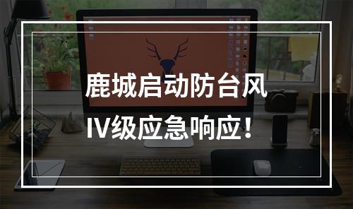 鹿城启动防台风Ⅳ级应急响应！