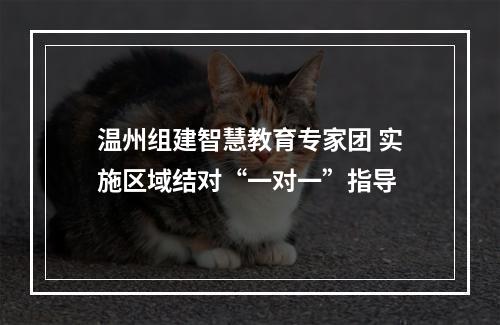 温州组建智慧教育专家团 实施区域结对“一对一”指导