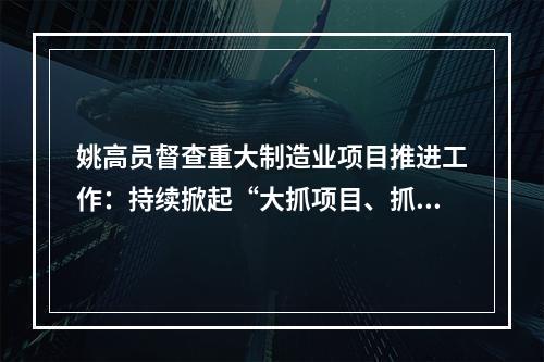 姚高员督查重大制造业项目推进工作：持续掀起“大抓项目、抓大项目”热潮