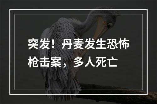突发！丹麦发生恐怖枪击案，多人死亡