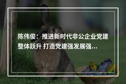 陈伟俊：推进新时代非公企业党建整体跃升 打造党建强发展强“双强”示范新高地