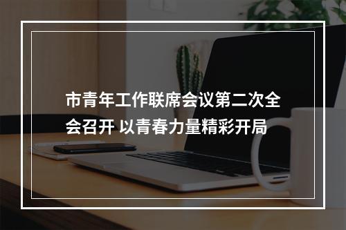 市青年工作联席会议第二次全会召开 以青春力量精彩开局