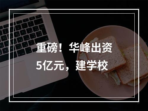 重磅！华峰出资5亿元，建学校