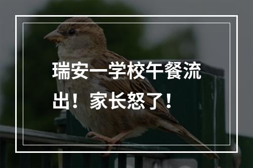 瑞安一学校午餐流出！家长怒了！