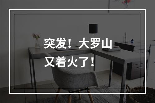 突发！大罗山又着火了！