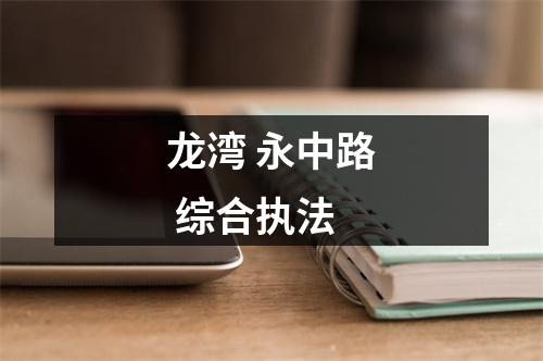 龙湾 永中路 综合执法