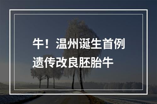 牛！温州诞生首例遗传改良胚胎牛