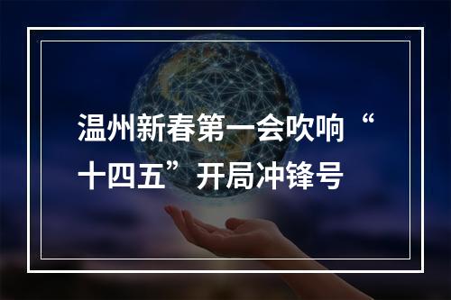 温州新春第一会吹响“十四五”开局冲锋号