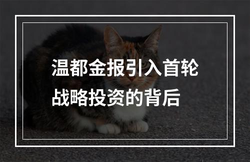 温都金报引入首轮战略投资的背后