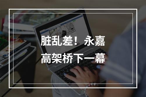 脏乱差！永嘉高架桥下一幕