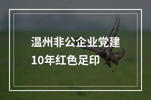 温州非公企业党建10年红色足印