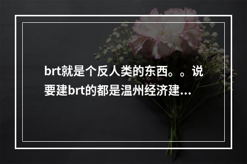 brt就是个反人类的东西。。说要建brt的都是温州经济建设的罪人。。