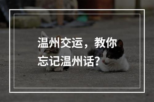 温州交运，教你忘记温州话？