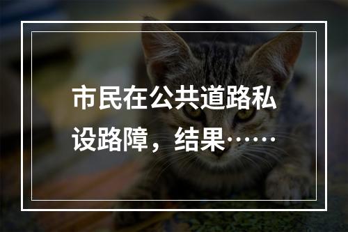 市民在公共道路私设路障，结果……