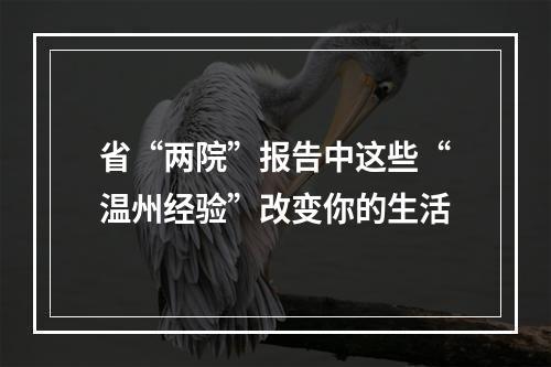 省“两院”报告中这些“温州经验”改变你的生活