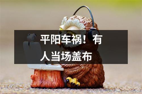 平阳车祸！有人当场盖布