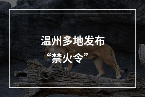 温州多地发布“禁火令”