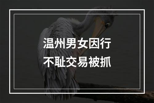 温州男女因行不耻交易被抓