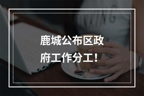 鹿城公布区政府工作分工！