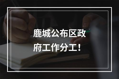 鹿城公布区政府工作分工！