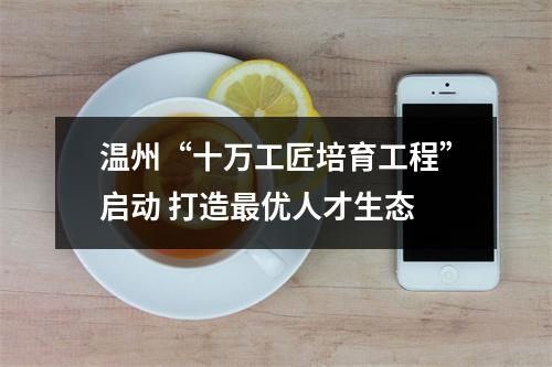 温州“十万工匠培育工程”启动 打造最优人才生态