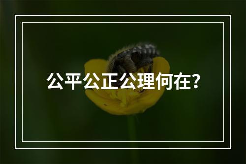 公平公正公理何在？