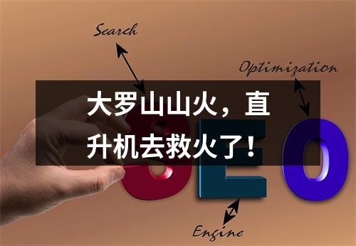 大罗山山火，直升机去救火了！