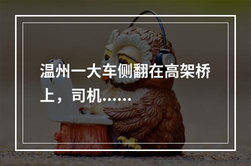 温州一大车侧翻在高架桥上，司机......