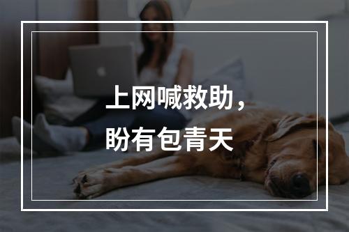 上网喊救助，盼有包青天