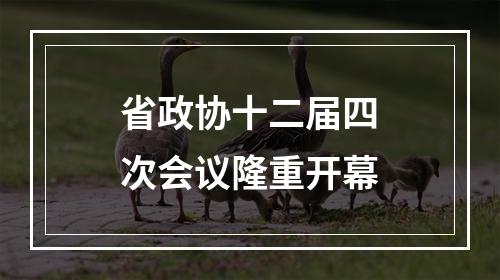省政协十二届四次会议隆重开幕