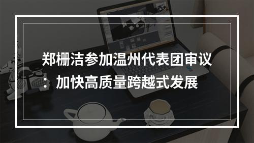 郑栅洁参加温州代表团审议：加快高质量跨越式发展