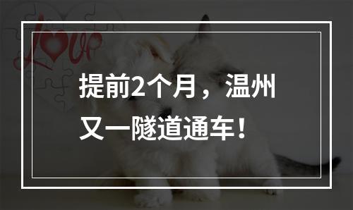 提前2个月，温州又一隧道通车！