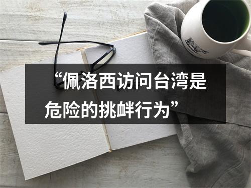 “佩洛西访问台湾是危险的挑衅行为”