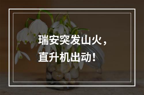 瑞安突发山火，直升机出动！