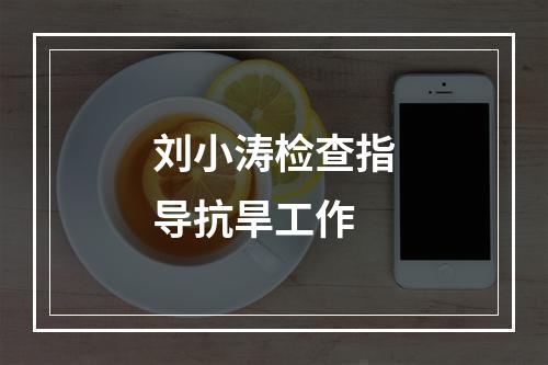 刘小涛检查指导抗旱工作