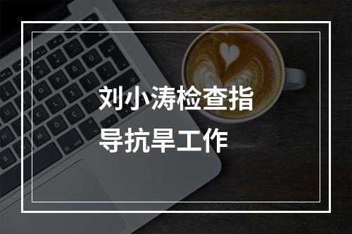 刘小涛检查指导抗旱工作