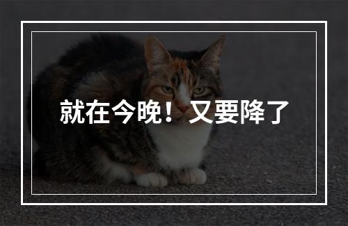 就在今晚！又要降了