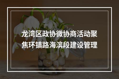 龙湾区政协微协商活动聚焦环镇路海滨段建设管理