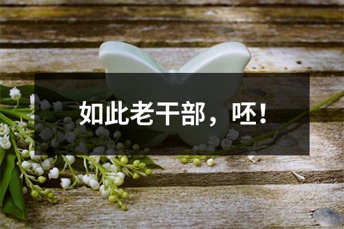如此老干部，呸！