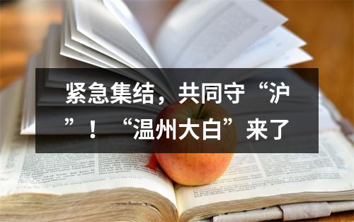 紧急集结，共同守“沪”！“温州大白”来了