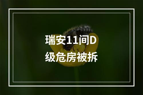 瑞安11间D级危房被拆